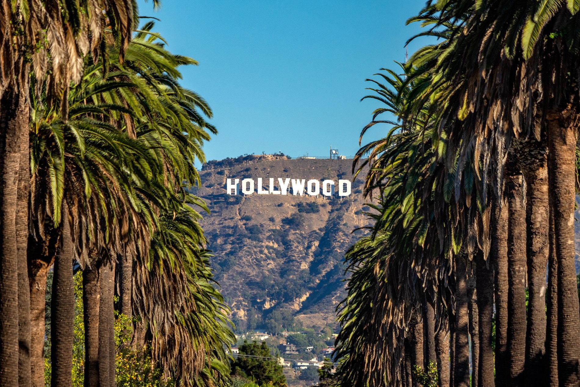 flock in los angeles, flock app, meet up, meetup, meetup app, events, 